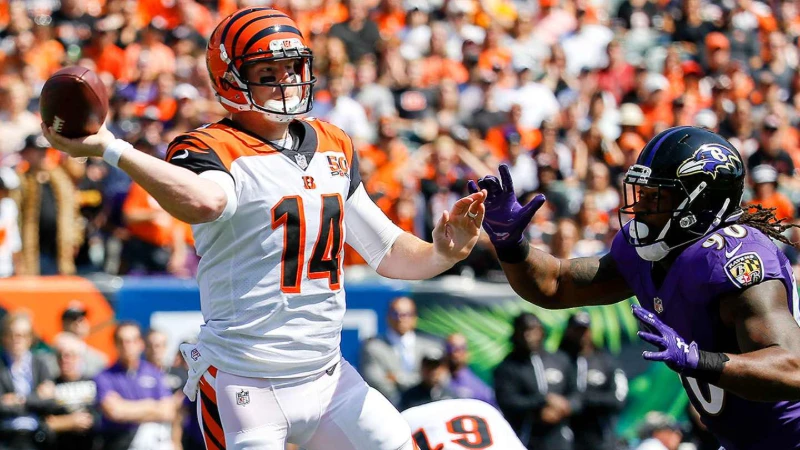 Bengals quarterback throws under pressure from Ravens defender, NFL Week 7.
