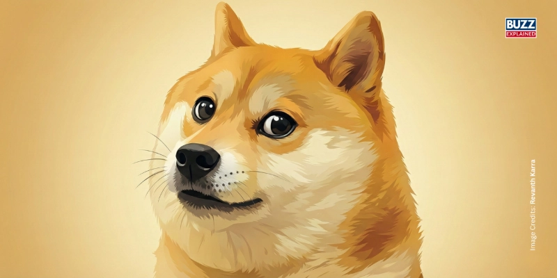 DOGE. Image credits: Revanth Karra