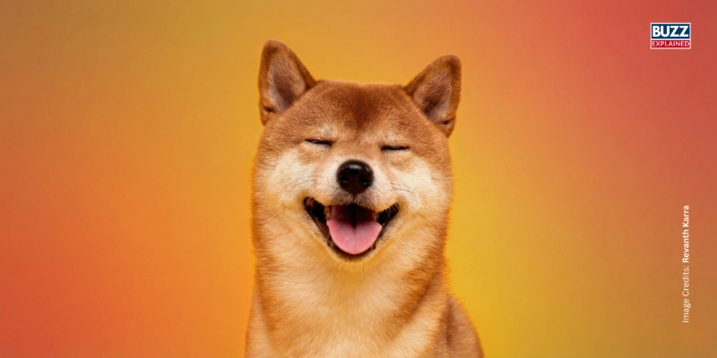 DOGE coin. Image credits: Revanth Karra