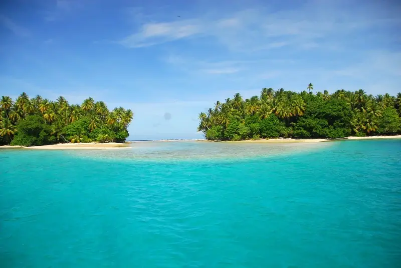 Tropical island scene with lush green palm trees and clear turquoise water, highlighting the Tsunami Warning Papua New Guinea.