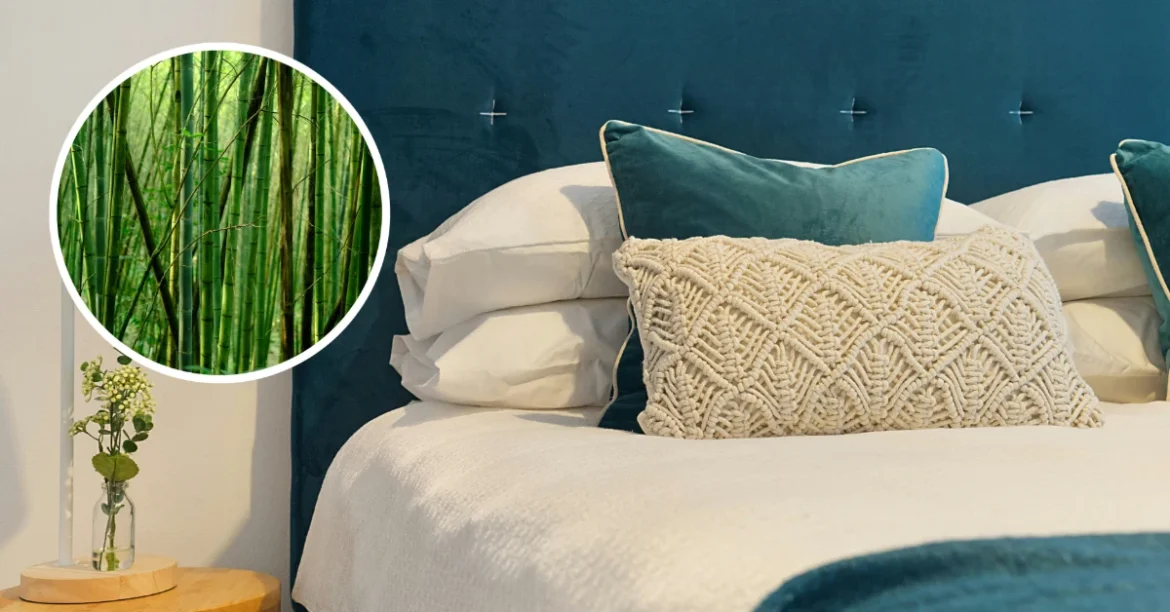 Benefits of bamboo sheets. Image credits: Eric BARBEAU / Greg Rivers / UNSPLASH